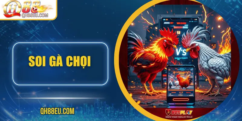 soi-ga-choi